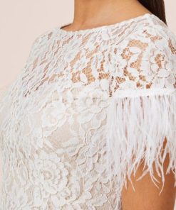 Meadowmode.shop901ae8b7f6 2